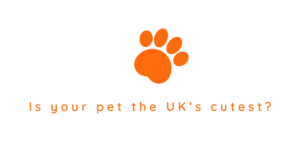 Cute Pet UK